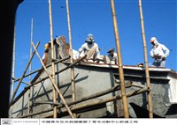 藏品(N/A)的圖片