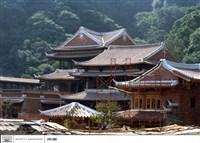 藏品(N/A)的圖片