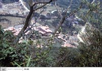 藏品(N/A)的圖片