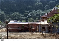 藏品(N/A)的圖片