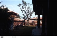 藏品(N/A)的圖片