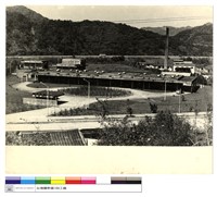 藏品((無圖名))的圖片