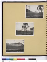 藏品((無圖名))的圖片