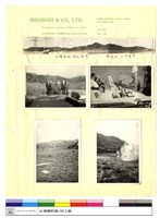 藏品((無圖名))的圖片