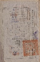 藏品(null)的圖片