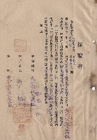 藏品(保證書)的圖片