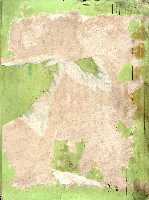 藏品(？)的圖片