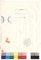 藏品(封面)的圖片