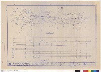 藏品(平面圖及縱坡度圖)的圖片