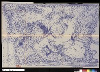 藏品(高壓幹線平面圖)的圖片