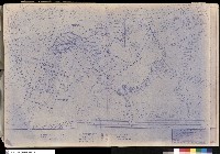 藏品(全體設施配置平面圖)的圖片