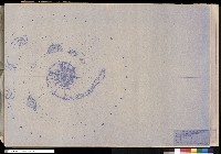 藏品(蘭陽泉修景工)的圖片