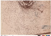 藏品(蘭陽泉植栽平面圖(變更設計))的圖片