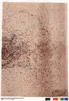 藏品(蘭陽泉植栽平面配置圖(變更設計))的圖片