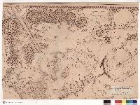 藏品(植栽平面圖-1)的圖片