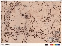 藏品(植栽平面圖-3)的圖片