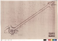 藏品(東西軸線步道植栽配置圖(一))的圖片