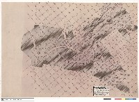 藏品(整地工程表土回填區域平面圖)的圖片