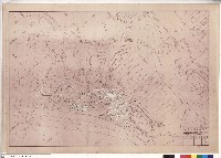 藏品(濕生植物區細整地施工圖)的圖片