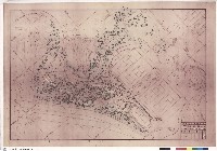 藏品(濕生植物區高木植栽竣工圖)的圖片