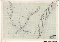 藏品(濕生植物園區園路擴大平面圖-1)的圖片