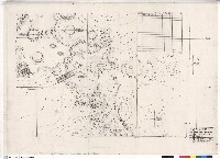 藏品(望天丘下步道植栽平面圖)的圖片