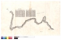 藏品(曲線表)的圖片