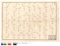 藏品(六月份)的圖片