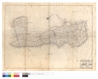 藏品(配置圖)的圖片
