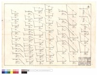 藏品(N/A)的圖片