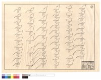 藏品(N/A)的圖片