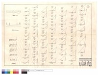 藏品(正,平面圖、原木駁坎部份)的圖片