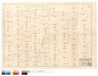 藏品(七月份坍方)的圖片