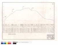 藏品(縱斷面圖)的圖片
