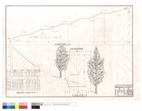 藏品(縱斷面圖、台階縱斷面圖、步道標準圖)的圖片