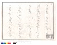 藏品(橫斷面圖)的圖片