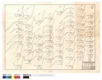 藏品(N/A)的圖片