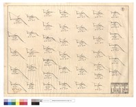 藏品(N/A)的圖片