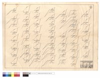 藏品(N/A)的圖片