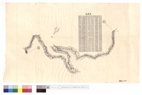 藏品(曲線表)的圖片