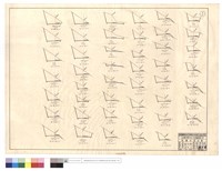 藏品(N/A)的圖片