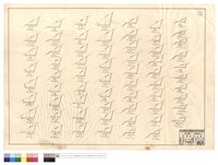 藏品(N/A)的圖片