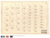 藏品(N/A)的圖片