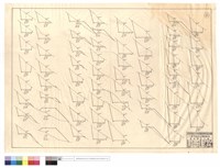 藏品(N/A)的圖片