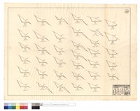 藏品(N/A)的圖片