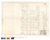 藏品(N/A)的圖片