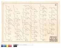 藏品(N/A)的圖片