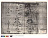 藏品(詳細圖(植栽用支架))的圖片
