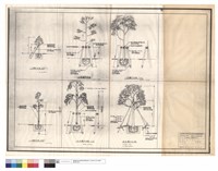 藏品(詳細圖(植栽用支架))的圖片