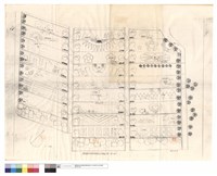 藏品(棲蘭森林遊樂區環境美化植栽工程(第二期))的圖片